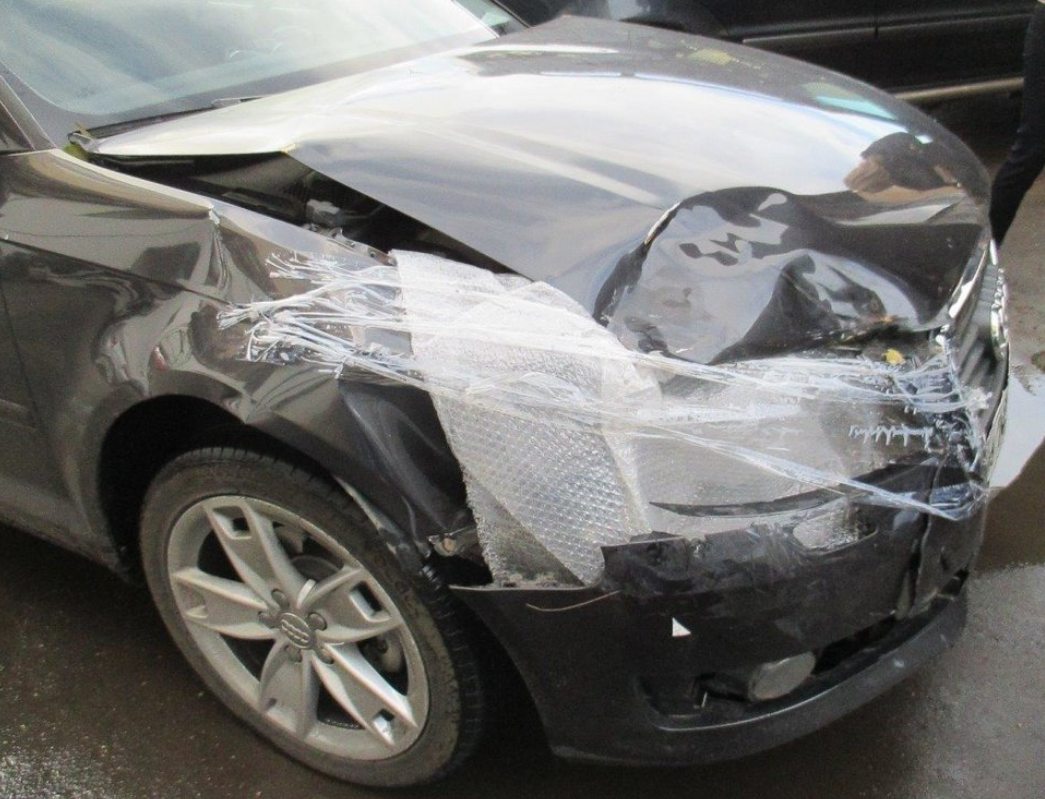 Фото 1 Фото 1